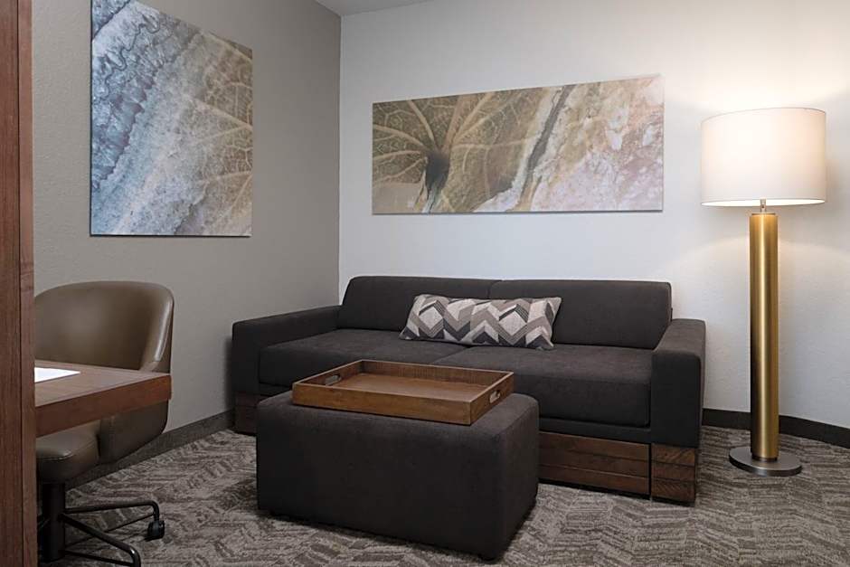 SpringHill Suites by Marriott Orlando at FLAMINGO CROSSINGS Town