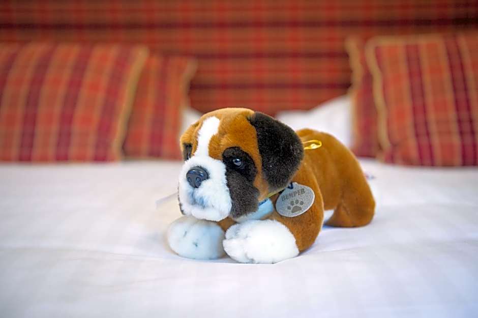 Lake Vyrnwy & Spa Hotel