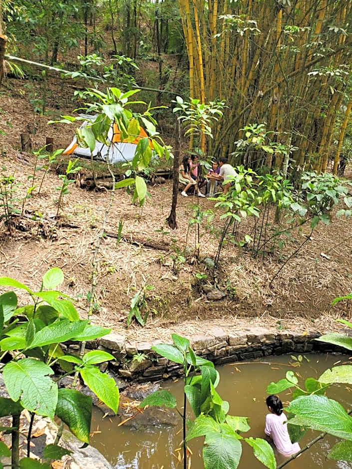 Hospedaje Totalmanik