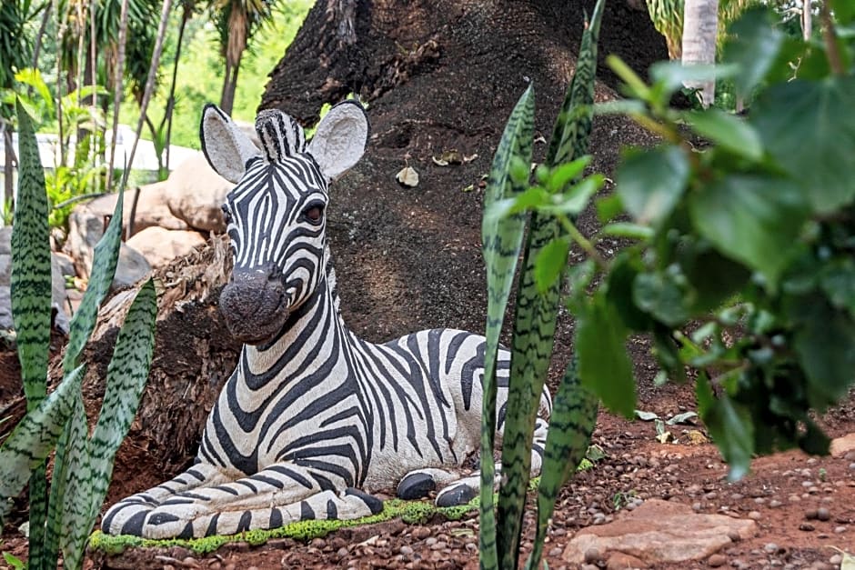 Graceland Conference and Lifestyle Centre