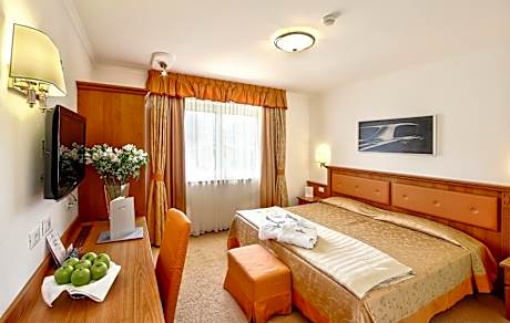 Comfort Double or Twin Room