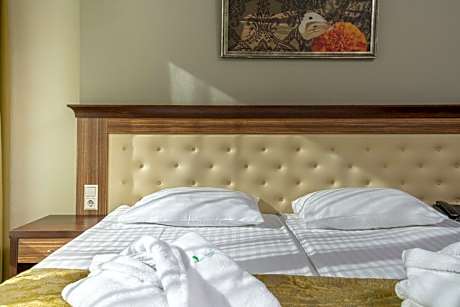 Standard Double Room with Spa Access