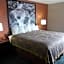 Super 8 by Wyndham Lynnwood