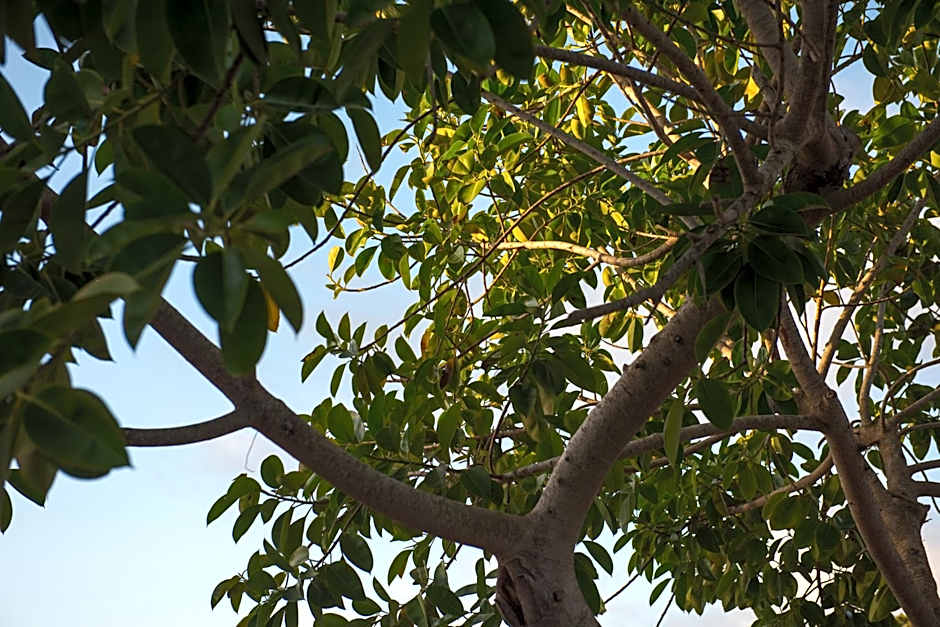 Apartamentos Vista Vedrá