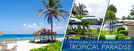 Royal Flamingo Villas