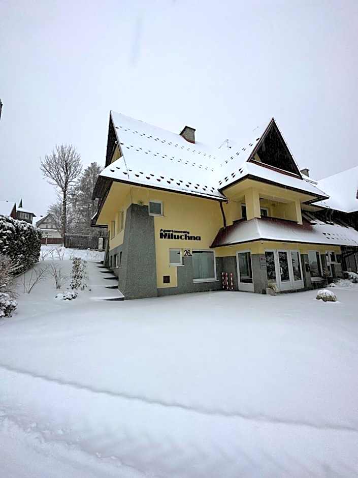 Apartamenty Miluchna blisko Dworca PKP