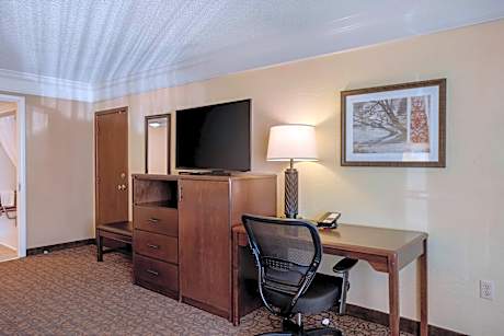 1 KING BED,MOBILITY ACCESSIBLE,ROLL SHWR,SOFBD,NSMK