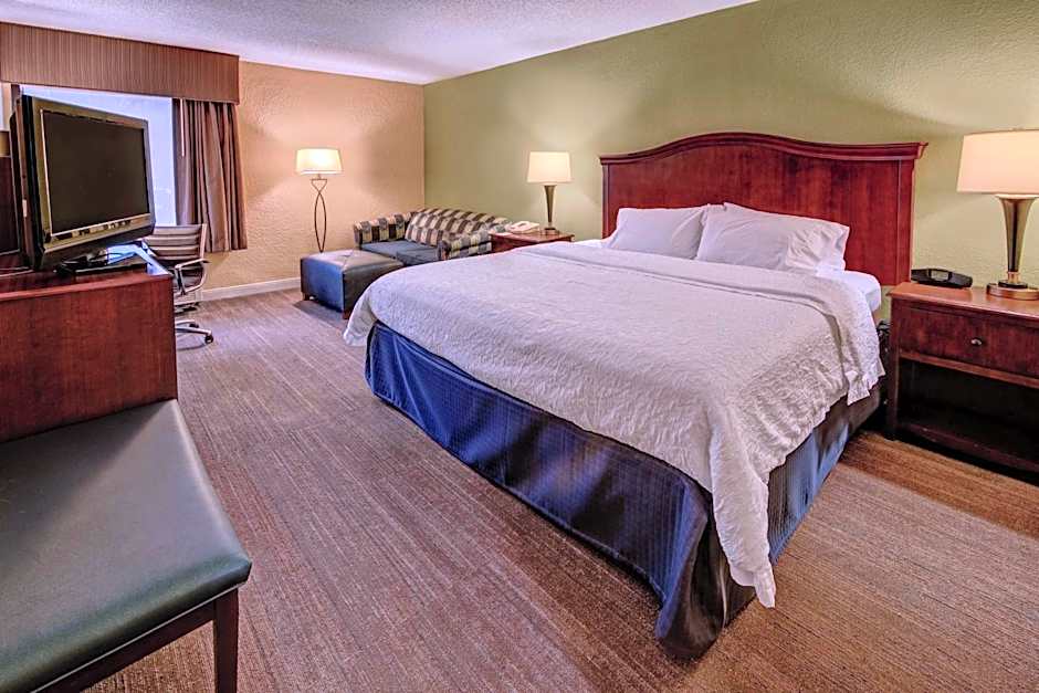 Photo 1 of 5 of 1 King Bed with Sofabed