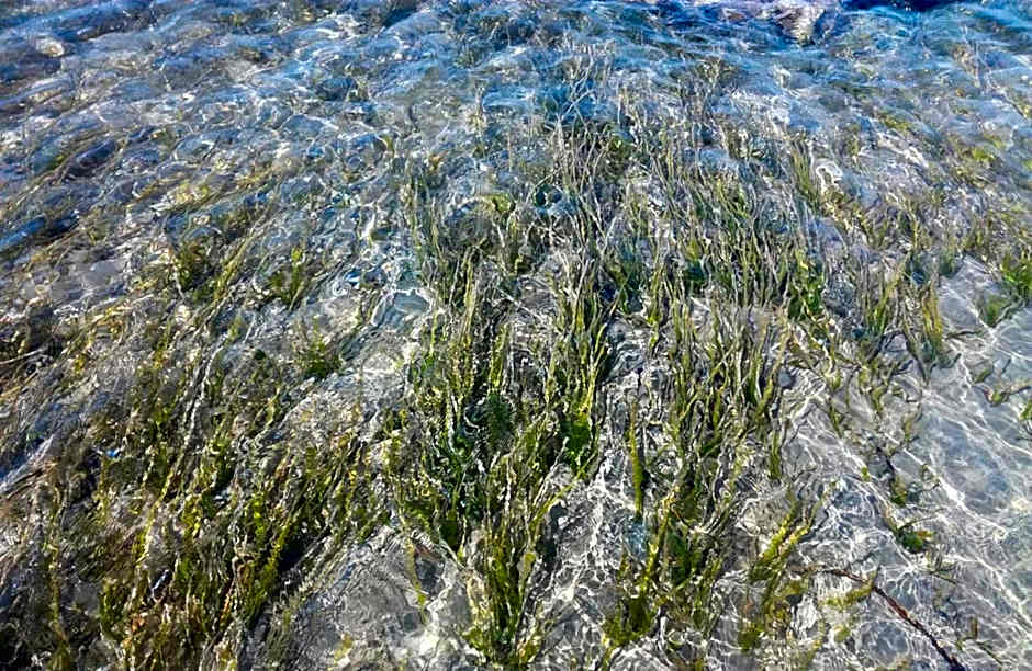 Hotel Donna Carmela Sede Unica a Sciacca