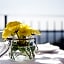 B&B Spring