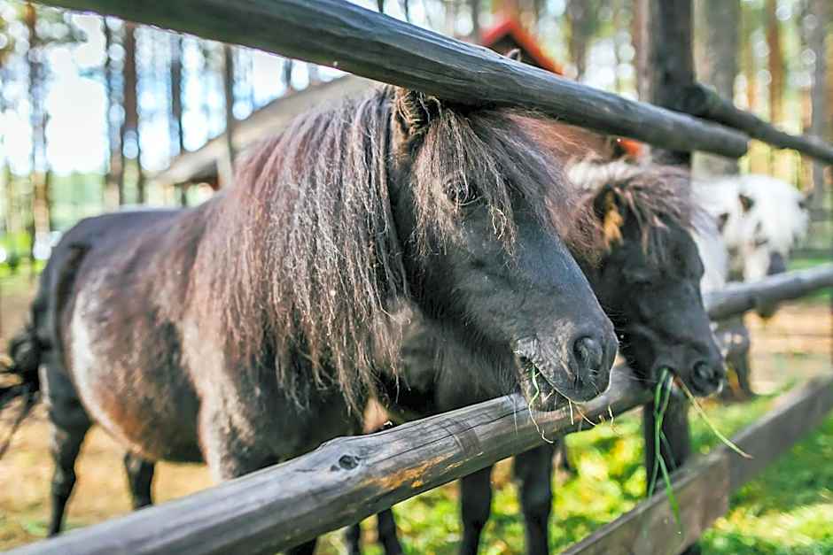 Pirčiupio Karčema