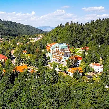 Hotel O3zone - Mountain Spa & Conference