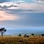Makweti Safari Lodge