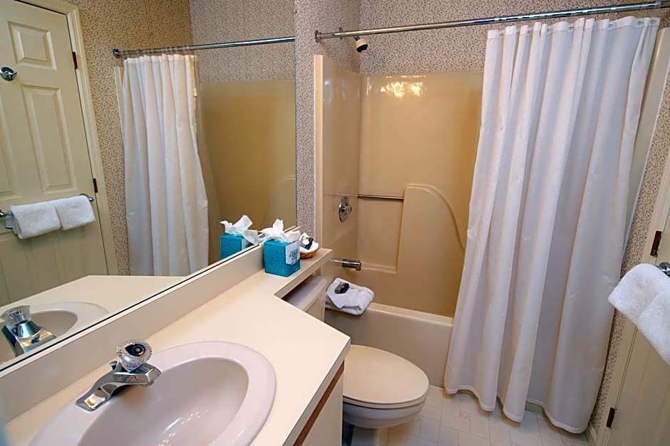 Winterplace on Okemo Mountain