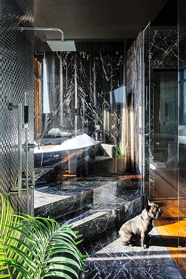 Dream Hollywood by Hyatt