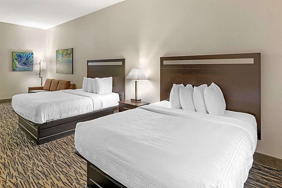 Best Western Plus McDonough Inn & Suites