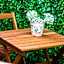 Junior Suite Terraza. ¡Unforgettable Experience!
