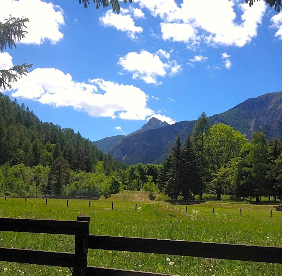 Hotel Rosa Serenella