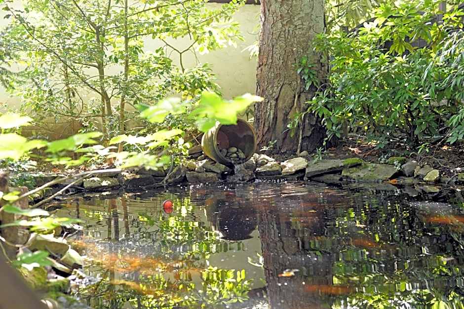 Hotel Restaurant Sengscheider Hof