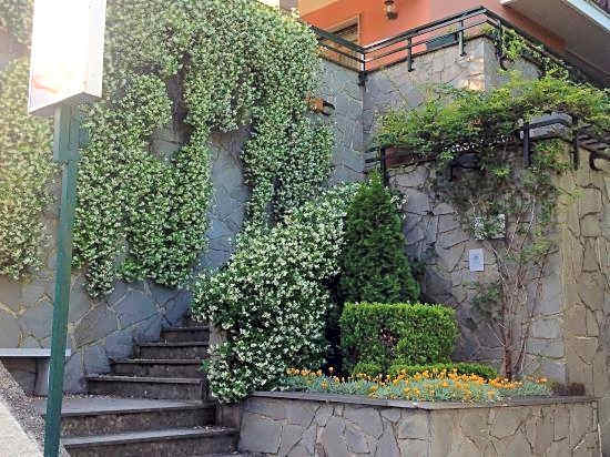 Hotel Tirreno