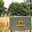 Acero Giallo