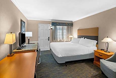 King Room - Non-Smoking