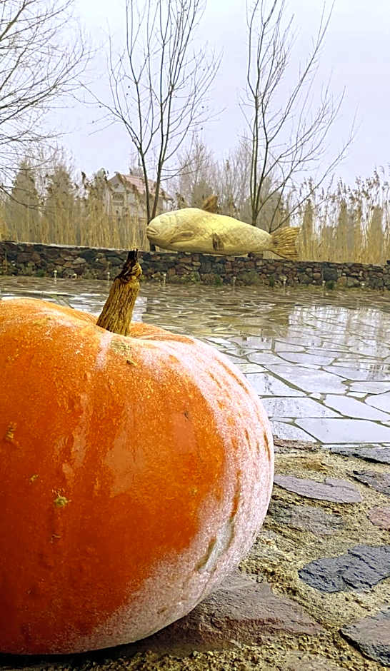 Targowski Dwór Mazury