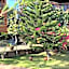 Villa Anjing 2