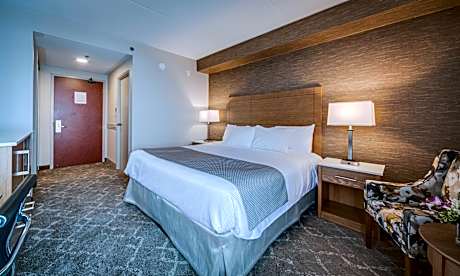 Standard room with 1 king bed