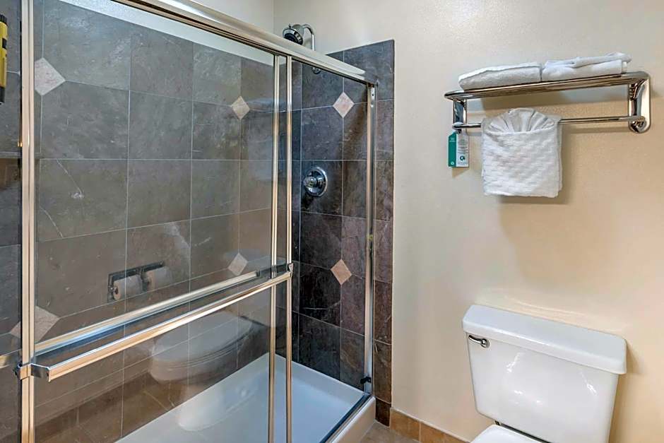 Best Western Plus Orchid Hotel & Suites