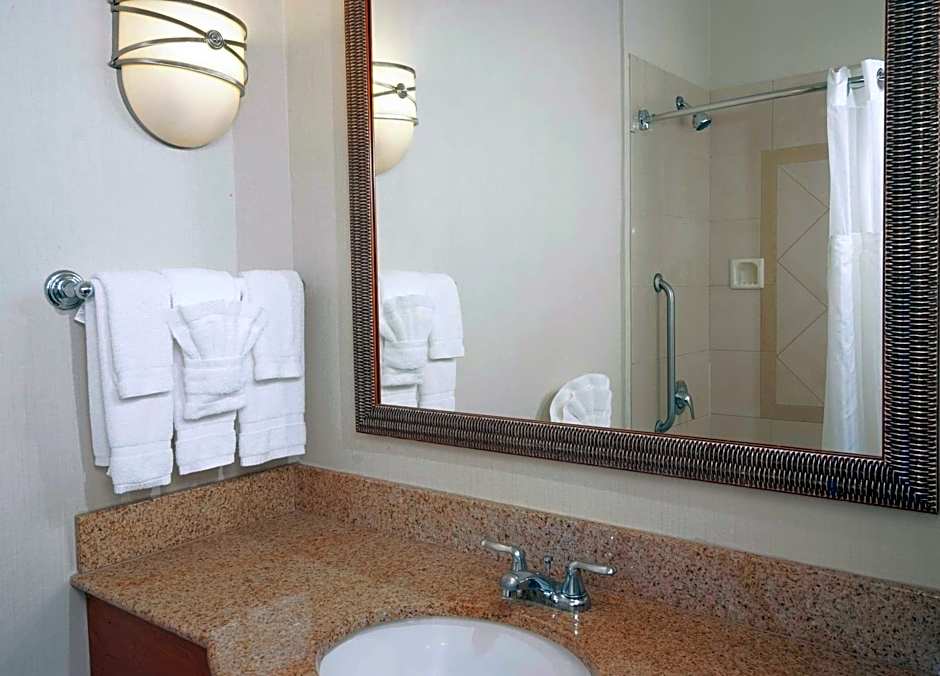 Hilton Garden Inn Atlanta Airport/Millenium Center