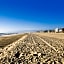 Channel Island Shores