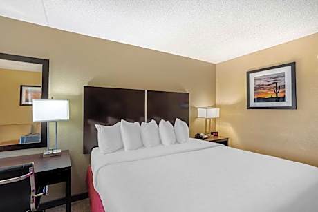 King Room with Roll-In Shower - Mobility Access