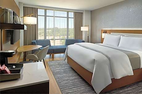 Premium Deluxe, Guest room, 1 King