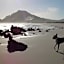 Jack's Seaview