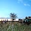 Mziki Safari Lodge