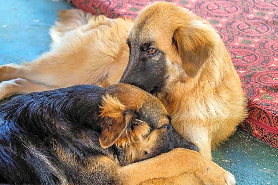 Seasons Lodge Zanzibar