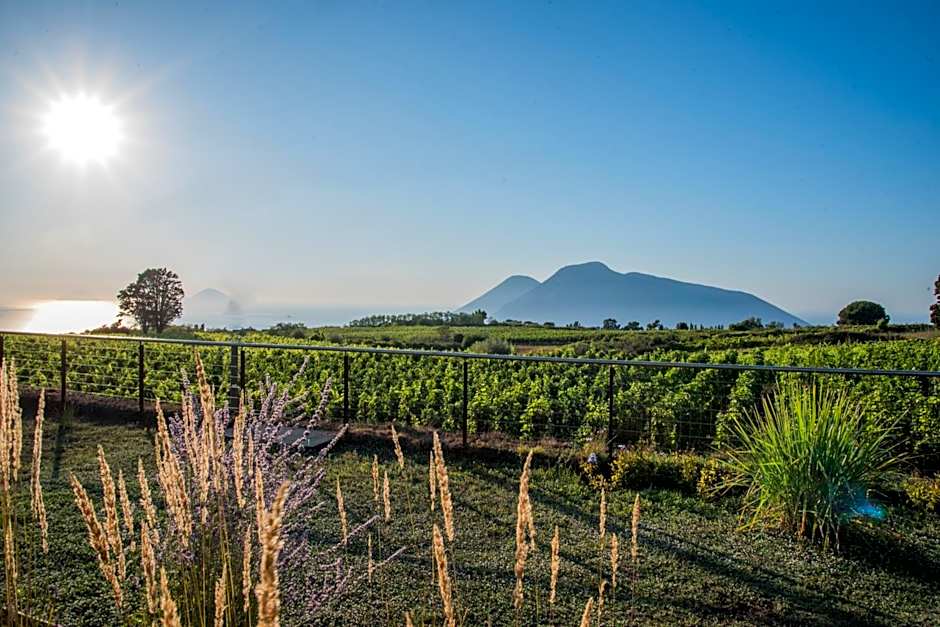 Tenuta di Castellaro Winery & Resort