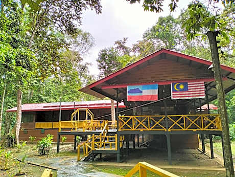 Borneo Jungle Adventure