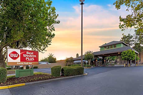 Best Western Plus Forest Park Inn