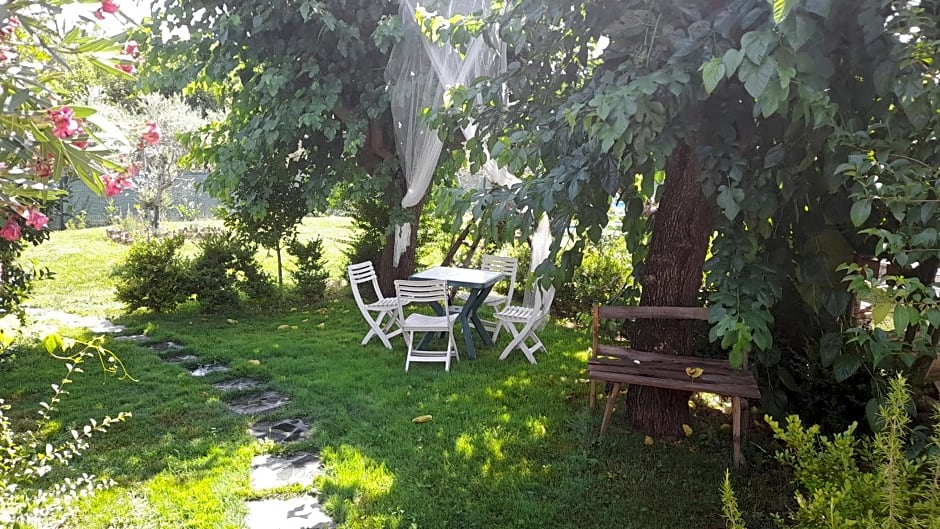 B&B il giardino di Eolo