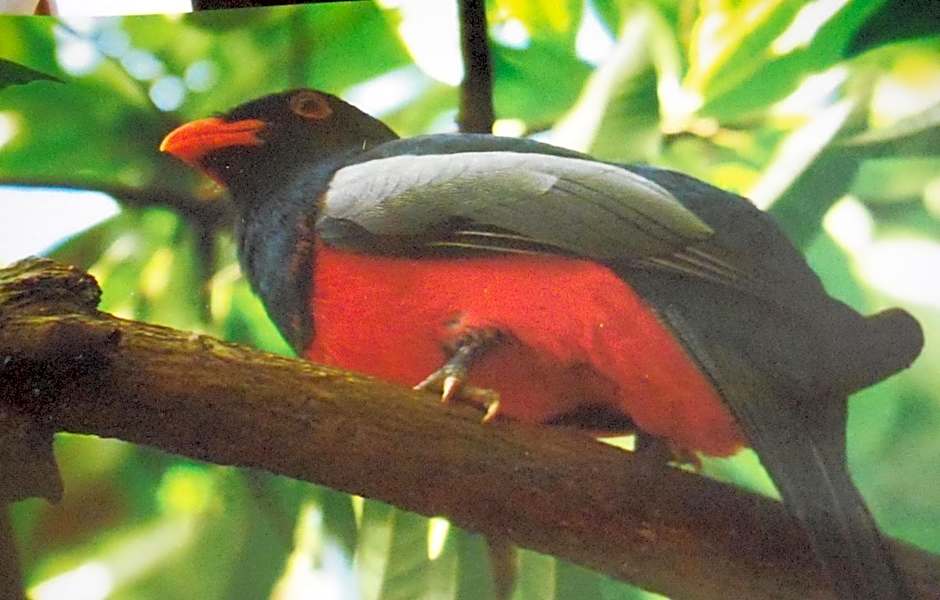 Hotel Cuna del Angel