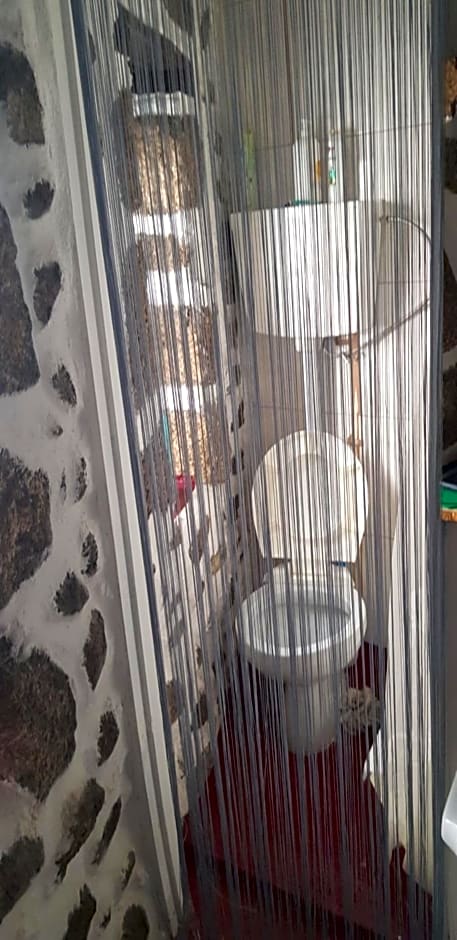 Branca Gonçalves Belmonte