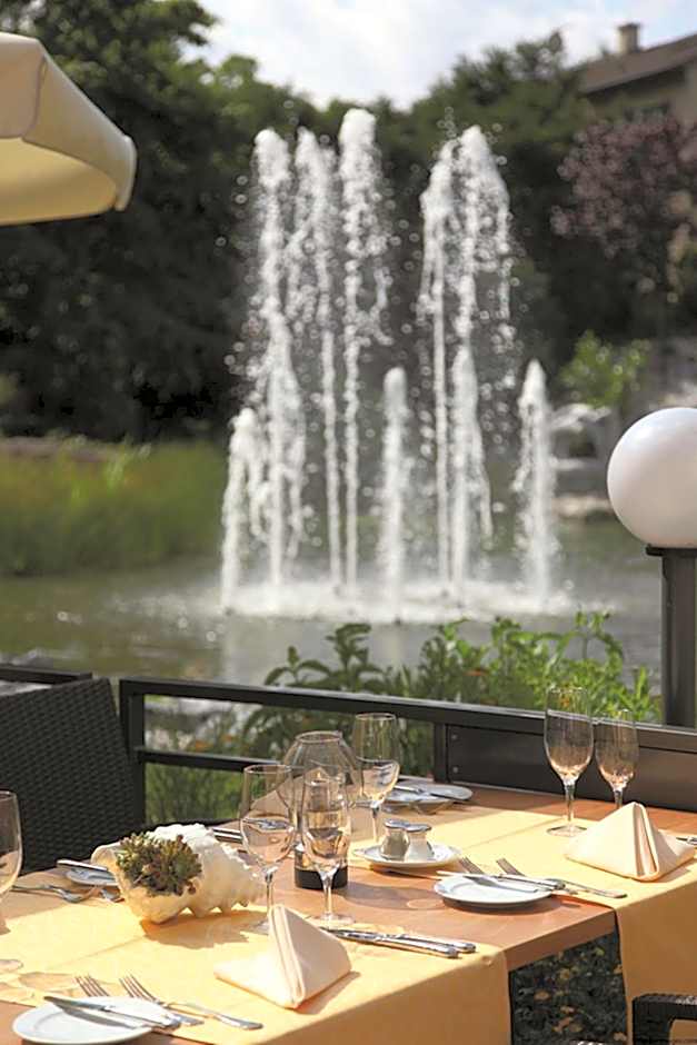 Dorint Parkhotel Bad Zurzach