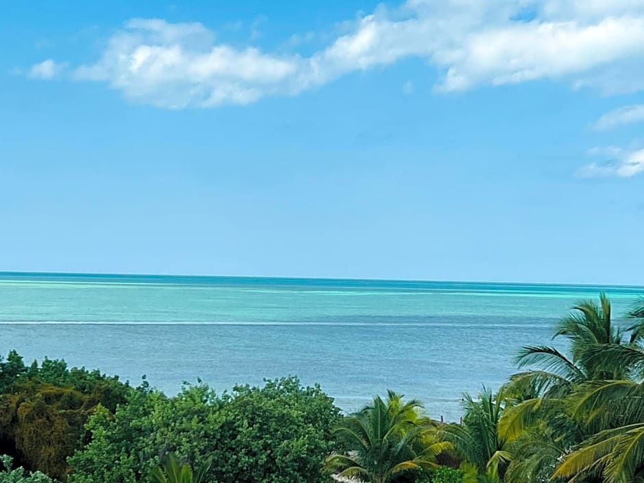Atenea Holbox