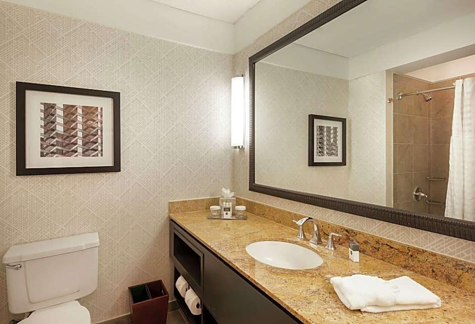 DoubleTree by Hilton Hotel & Suites Houston by the Galleria