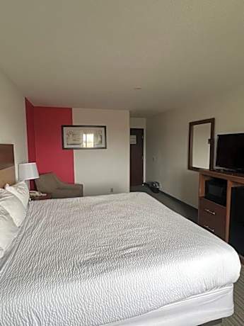 King Room - Non-Smoking