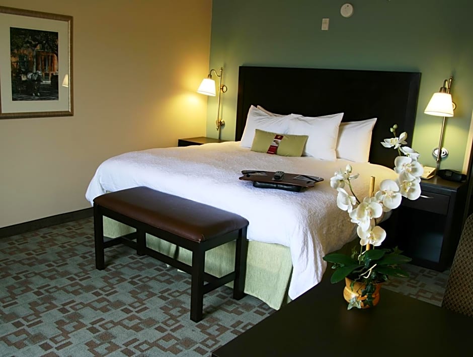 Hampton Inn By Hilton And Suites Savannah-Airport