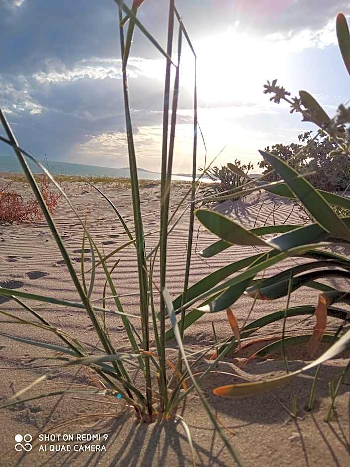 natura e relax sul mare