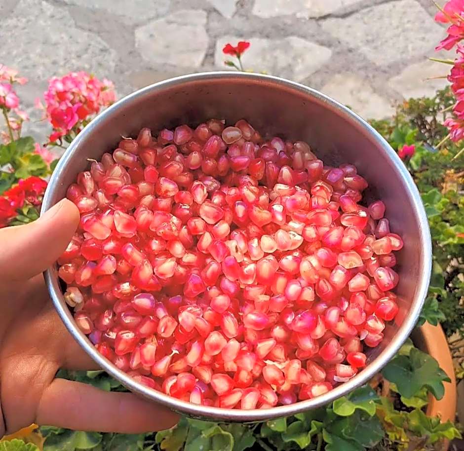 Anemos Holiday Houses - Unterkunft in Südkreta